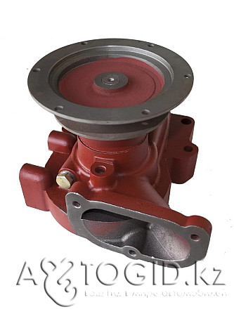 Water pump D-260 MTZ-1221 Aqtobe - photo 1