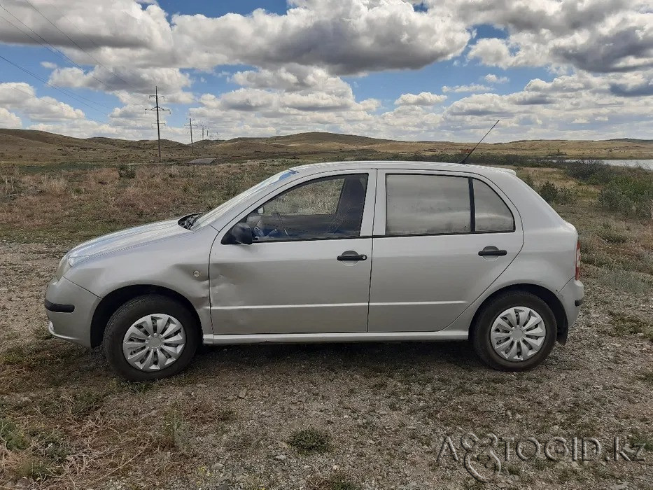 Skoda Fabia, 5 years old in Astana  Astana - photo 3